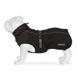 Veste pour chien softshell - Noir