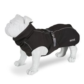 Veste pour chien softshell - Noir