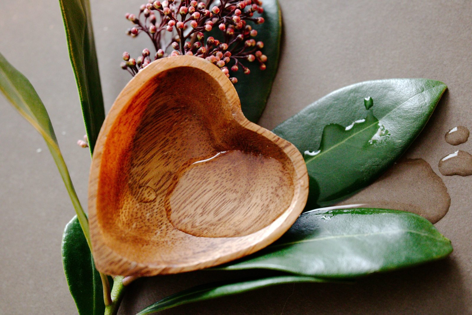 a wooden spoon sitting on top of a leafy plant